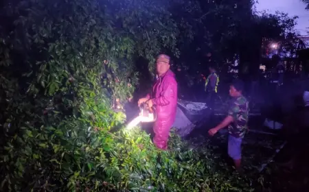 Pohon Tumbang Timpa Pos Nataru di Mojokerto, 1 Personel Luka dan 7 Motor Polisi Rusak