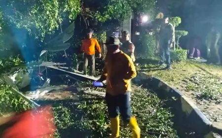 Selain Rusak Pos Pengamanan Nataru, 4 Pohon Tumbang di Mojokerto Juga Timpa Sejumlah Fasum