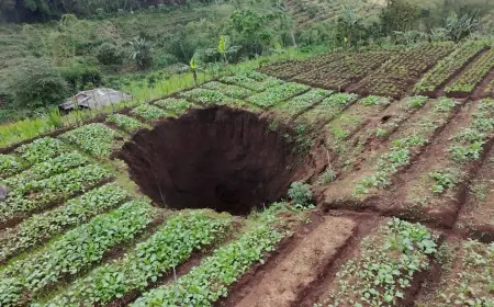 Tanah Pertanian di Desa Giripurno Ambles, Diduga Akibat Aktivitas Tambang