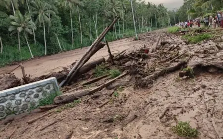 Banjir Bandang Hancurkan Infrastruktur: Upaya Pemulihan Pasca-Bencana di Sumberjambe Jember