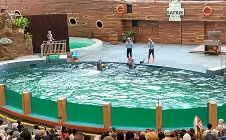 Ada Wahana Baru di Taman Safari Prigen, Yuk Kita Intip!