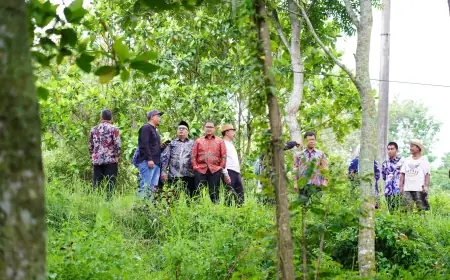 Tiga Bencana dalam Sepekan, Pj Wali Kota Batu Imbau Warga Waspadai Potensi Bencana Hidrometeorologi