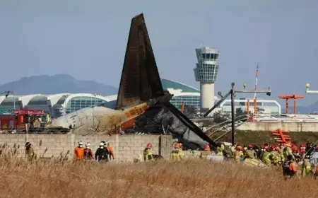 Tragedi Pesawat Jeju Air 179 Korban Jiwa dan 2 Selamat