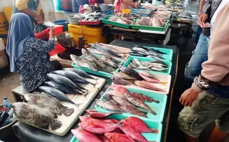 Nelayan di Jember Enggan Melaut, Harga Ikan Naik Dua Kali Lipat