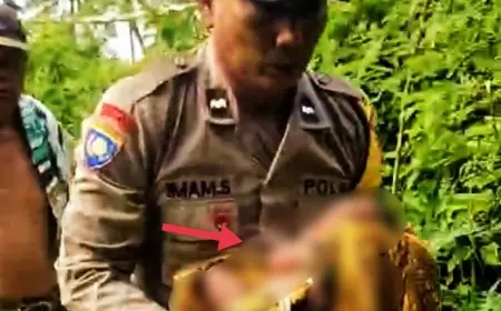 Warga Jelbuk Jember Temukan Bayi Laki-laki di Pinggir Selokan