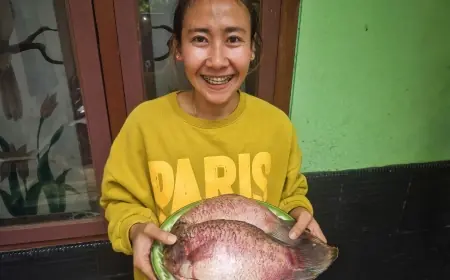 Harga Ikan Laut Meroket, Warga Jember Beralih ke Ikan Air Tawar