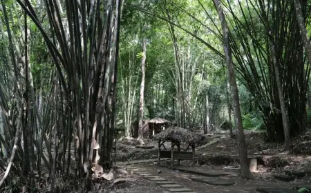 Desa Wisata Sanankerto, Surga Alam dan Budaya yang Wajib Dikunjungi di Malang