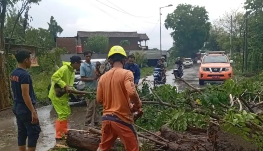 Cuaca Ekstrem Sasar Kota dan Kabupaten Mojokerto Sepekan Terakhir