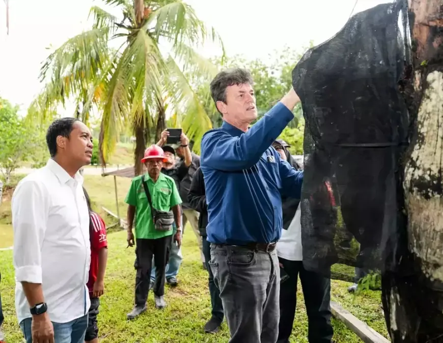 Menhut Apresiasi Budidaya Aren di Kaltim untuk Dukung Swasembada Energi Hijau