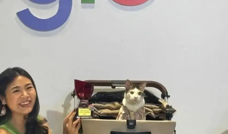 Bobby Kertanegara, Kucing Peliharaan Prabowo Subianto, Raih Penghargaan Top Trending Searches Google Indonesia 2024