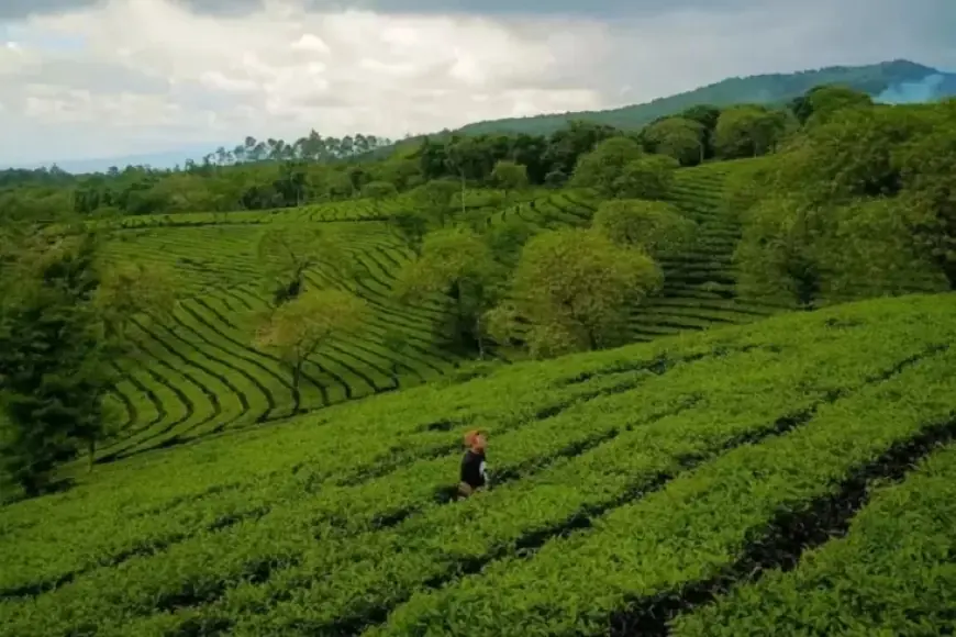 Temukan 5 Destinasi Wisata Terpopuler di Malang untuk Liburan Akhir Tahun 2024