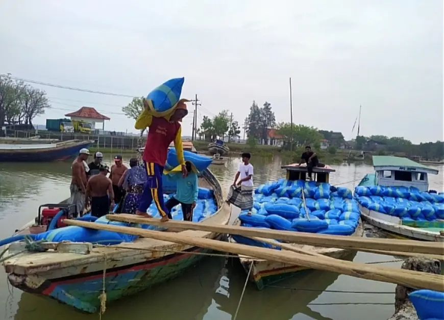 Masuk Musim Hujan, P4GM Minta Pemerintah Tinjau Stok Garam