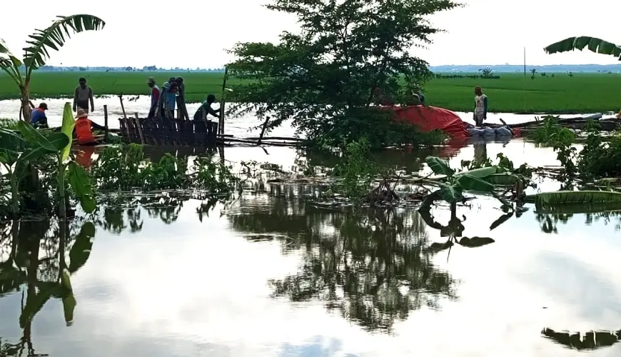 Tanggul Kali Ingas Jebol, Ratusan Hektare Padi di Bojonegoro Terendam Air