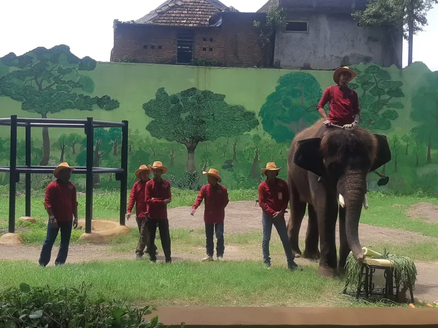 Ultah Gonzales ke-14 tahun, Perayaan Seru dengan Sentuhan Edukasi di Kebun Binatang Surabaya