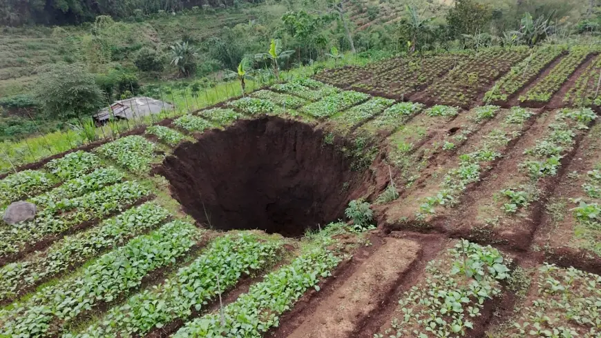 Tanah Pertanian di Desa Giripurno Ambles, Diduga Akibat Aktivitas Tambang