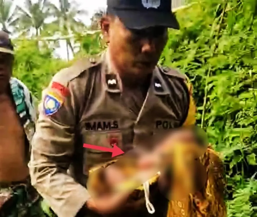 Warga Jelbuk Jember Temukan Bayi Laki-laki di Pinggir Selokan