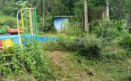 Sepi Pengunjung, Wisata Rawa Indah Almour di Bondowoso Kini Terbengkalai