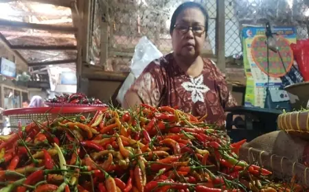 Pasca Nataru, Harga Cabai di Probolinggo Kian 'Pedas'