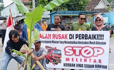 Aksi Warga Kencong Tanam Pisang di Jalan Provinsi, Tuntut Pemerintah Tindak Truk ODOL