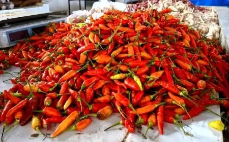 Harga Bahan Pokok Naik, Ibu-Ibu di Blitar Kurangi Belanja Harian