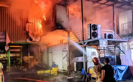 Seluruh Bagian Gudang Frozen Food Afco di Jombang Hampir Jadi Arang