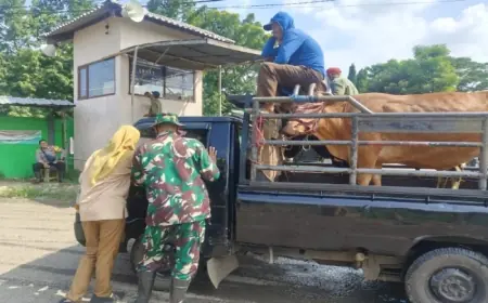 Lebih Pilih Perketat Pengawasan, Pemkot Probolinggo Enggan Tutup Pasar Hewan