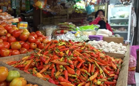 Harga Cabai di Bondowoso Capai Rp 100 ribu Per Kg, Ini Penyebabnya