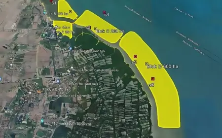 Ini Alasan Penolakan Proyek SWL Rp 72 Triliun di Surabaya