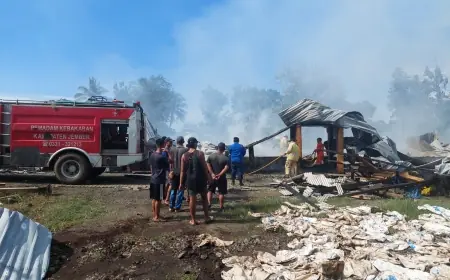 Kandang Ayam di Jember Ludes Terbakar, Kerugian Capai Miliaran