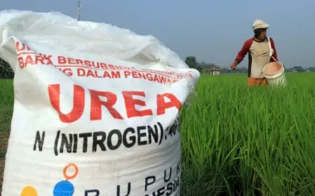 Pupuk Subsidi di Probolinggo Dijual Melebihi HET