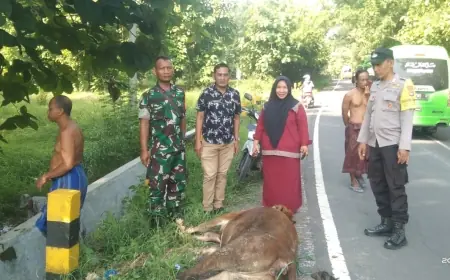 Warga Sampang Temukan Bangkai Sapi di Pinggir Jalan, Disperta KP: Bukan PMK