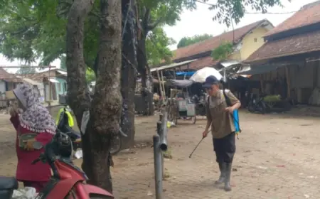 Batasi Penularan PMK, Pasar Hewan di Probolinggo Disemprot Disinfektan