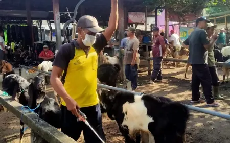 Cegah Wabah PMK, Pemkot Kediri Semprot Pasar Hewan dengan Disinfektan