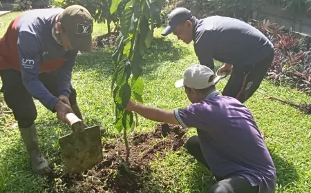 Gerakan Satu Juta Pohon dengan Penanaman 1.000 Bibit Kelengkeng, UM dukung Keberlanjutan Lingkungan