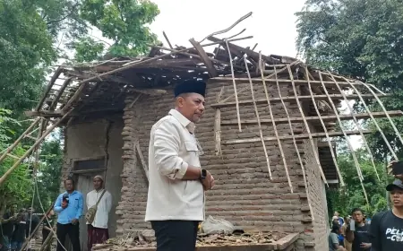 Tinjau Dampak Pohon Tumbang di Paiton, Gus Haris Bahas Mitigasi Bencana