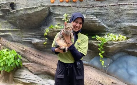 Viral! Kucing Lakukan Atraksi Menarik di Animal Edutainment Jember