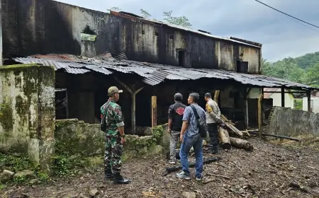 Insiden Kebakaran di Pabrik Karet Tanggul Jember: Gudang dan Karet Hangus Terbakar