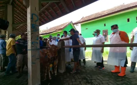 Wabah PMK Merebak Lagi: Pemprov Jatim Siapkan Vaksin dan Perketat Mobilisasi Ternak