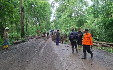 Longsor di Jalur Gunung Watu Gundul Malang Ganggu Lalu Lintas Kendaraan