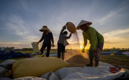 Pemerintah Putuskan untuk Naikkan Harga Gabah Petani ke Bulog