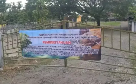Wabah PMK Tembus 541 Kasus, Pemkab Trenggalek Tutup 7 Pasar Hewan