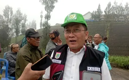 Sempat Naik Drastis, Harga Cabai di Malang Kini Beranjak Turun