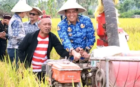 Kolaborasi PPL dan Babinsa Jadi Strategi Terwujudnya Swasembada Pangan di Bondowoso
