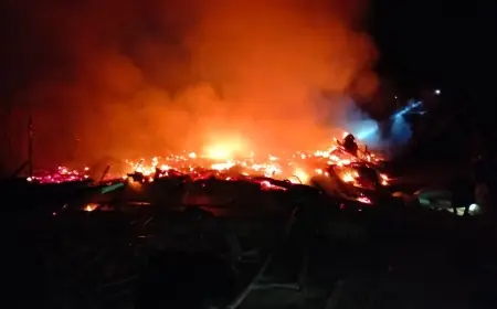 Kandang Berisi 11 Ribu Ekor Ayam Potong di Sampang Hangus Terbakar