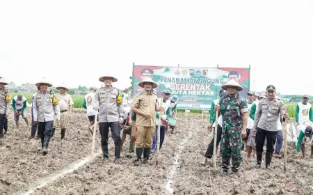 Pemkab Lamongan Targetkan 56 Hektare Lahan Jagung untuk Swasembada Pangan