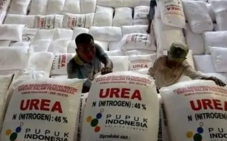 Harga Pupuk di Kota Batu Mencekik Petani