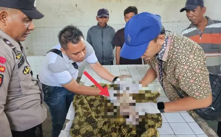 Bayi Perempuan Baru Lahir Tewas Mengapung di Aliran Sungai Jember, Diduga Dibuang