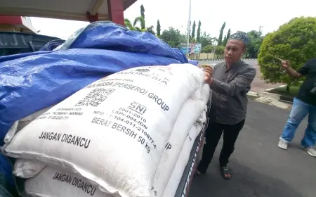 Petani Probolinggo Menjerit, Pupuk Subsidi Kian Sulit di Musim Tanam
