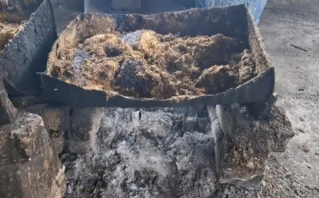 Walhi Jatim Desak Pemerintah Tindak Tegas Pencemaran Lingkungan di Nganjuk