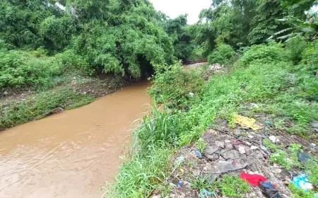 Sejumlah Titik Plengsengan Longsor, Warga Dringu Mendesak Perbaikan Dipercepat